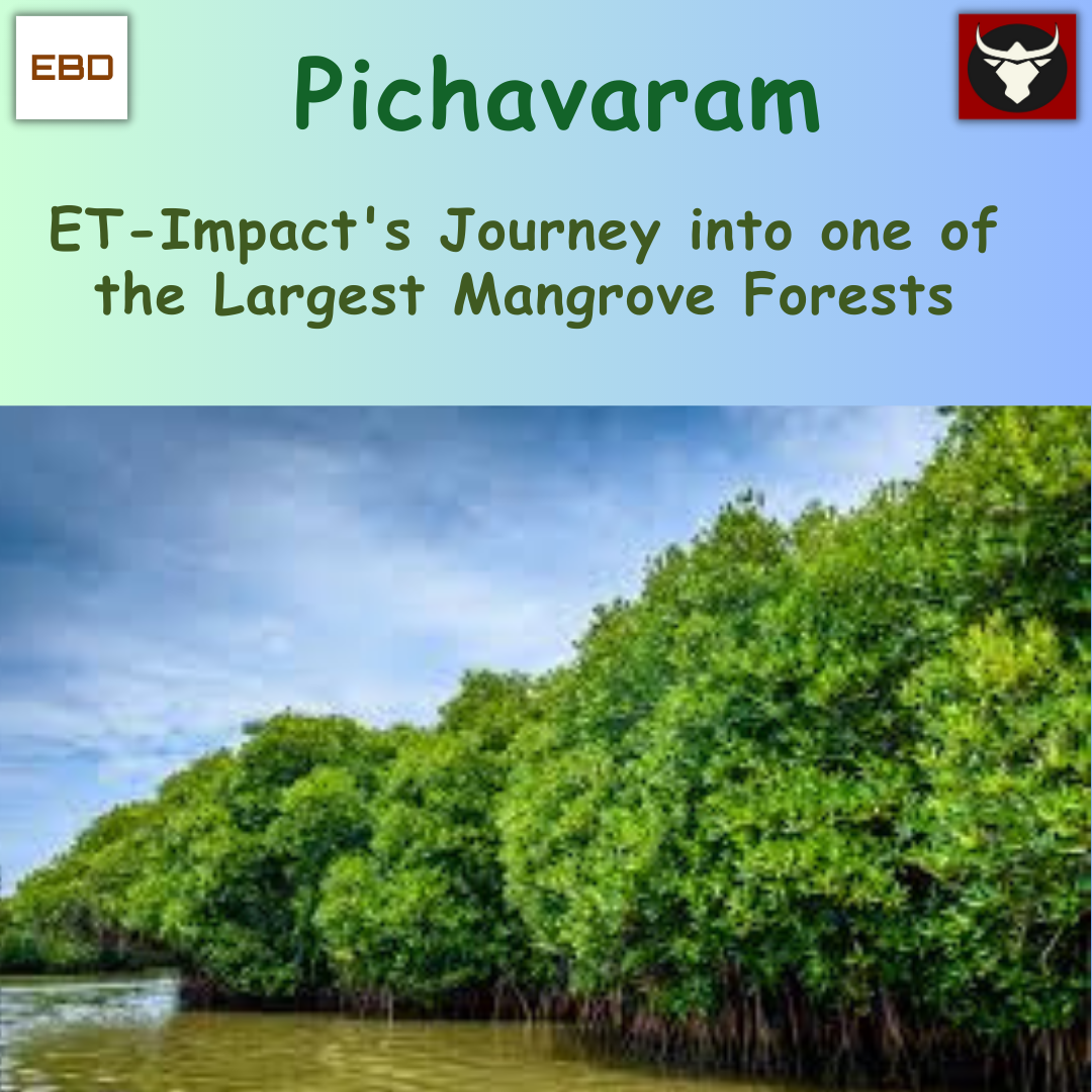 ET-Impact's Journey into Pichavaram Forest - Empower Tamizhagam